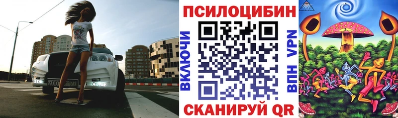 Галлюциногенные грибы Psilocybe  Богородск 