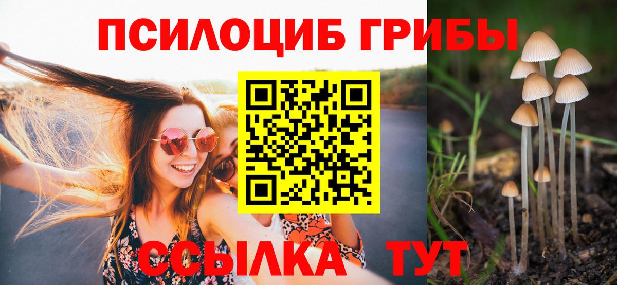 Богородск  Псилоцибиновые грибы Magic Shrooms  Вход с VPN 