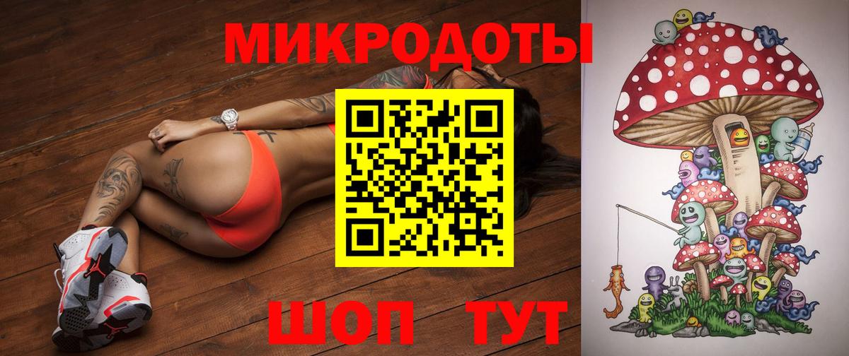 Псилоцибиновые грибы Psilocybine cubensis Богородск